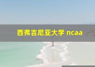 西弗吉尼亚大学 ncaa